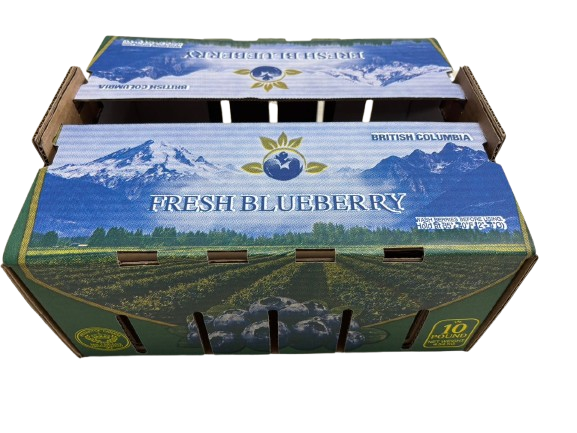 Blueberry Carton